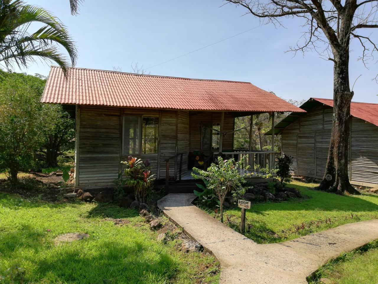 Bungalow - Vue sur Jardin